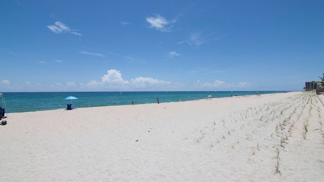 Photo of Others in Palm Beach