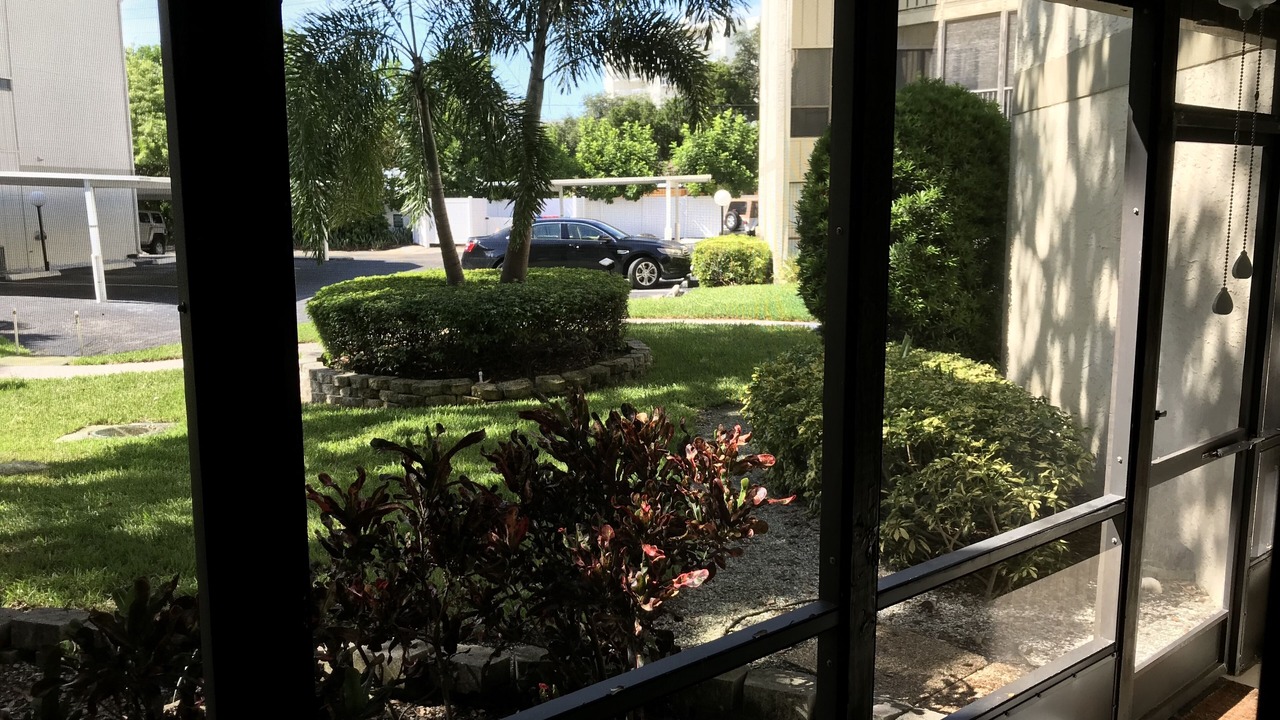 Photo of Outdoor in Siesta Key