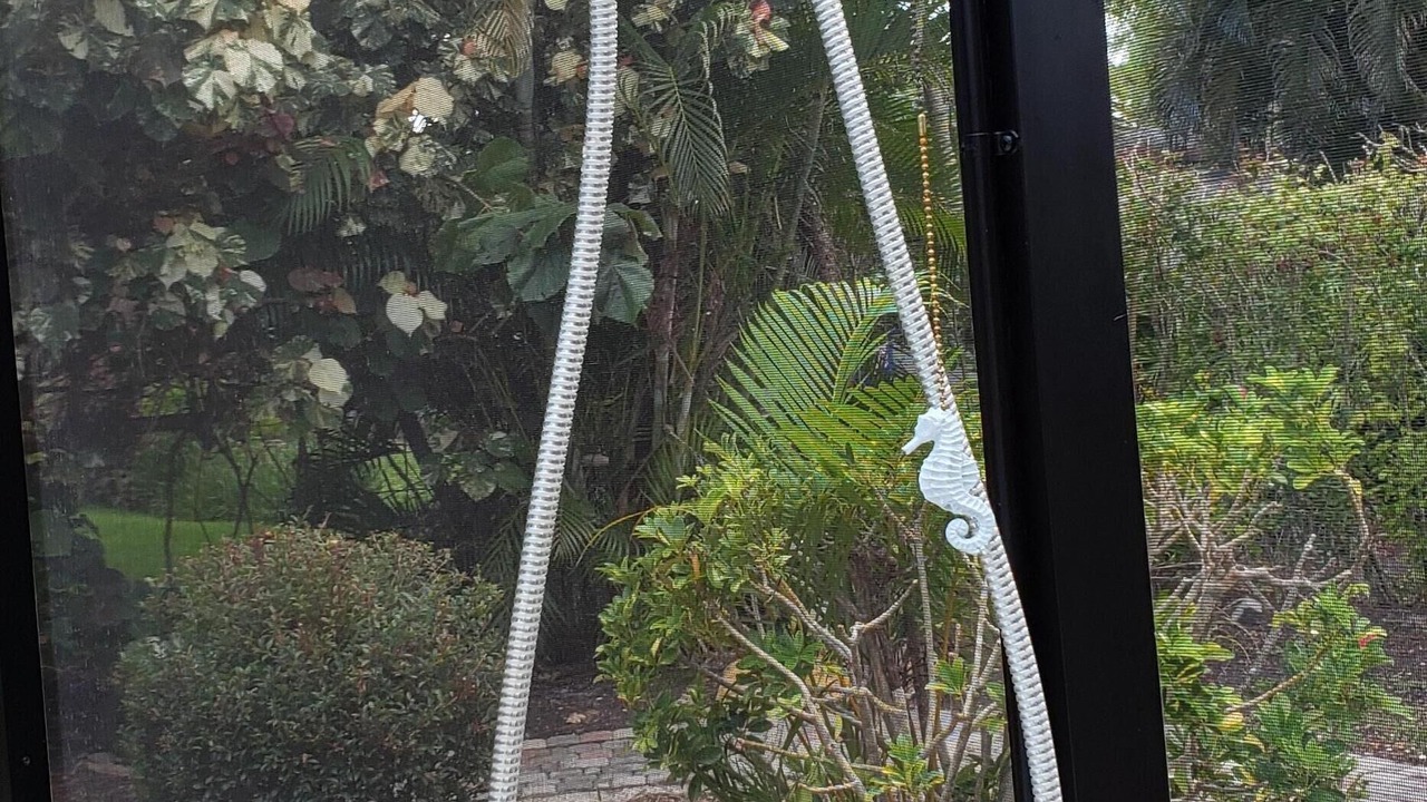 Photo of Outdoor in Bonita Shores