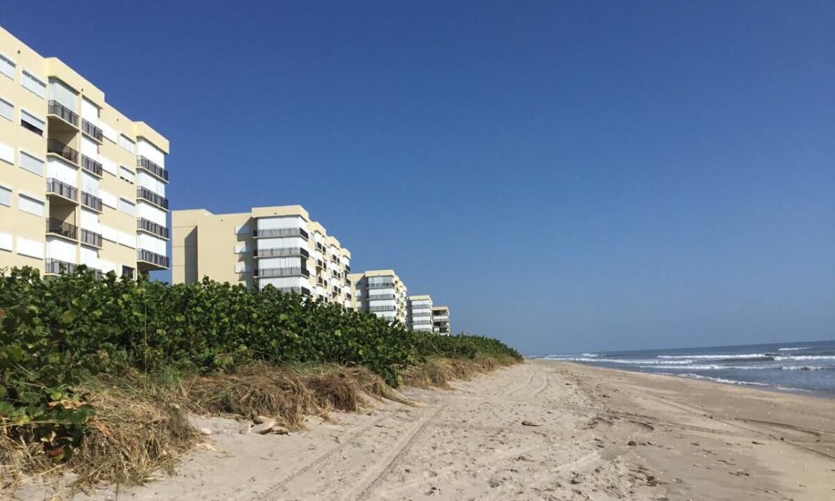 Photo of Others in Hutchinson Island South