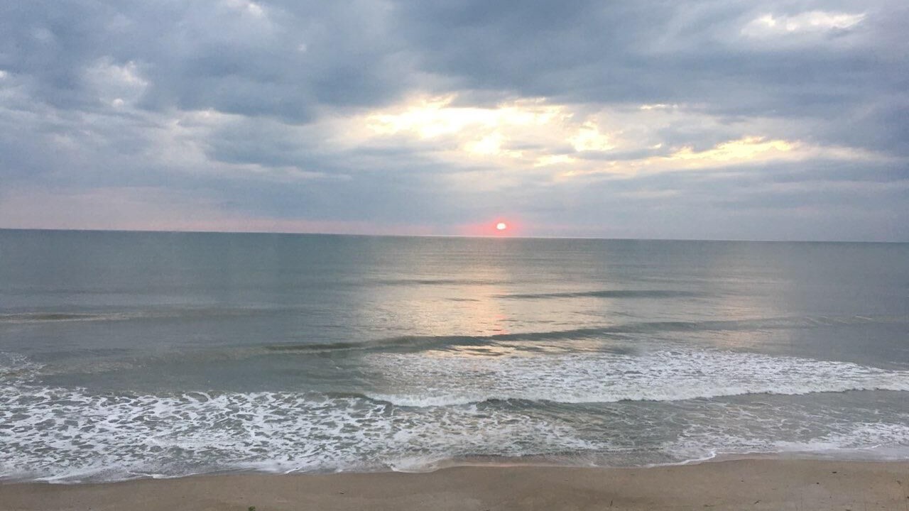 Photo of Others in Hutchinson Island South