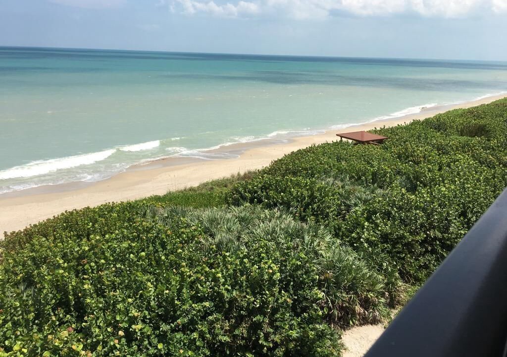 Photo of Others in Hutchinson Island South