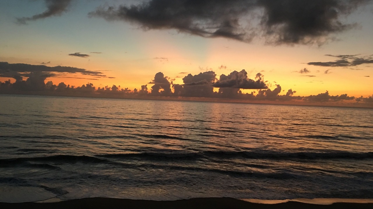 Photo of Others in Hutchinson Island South