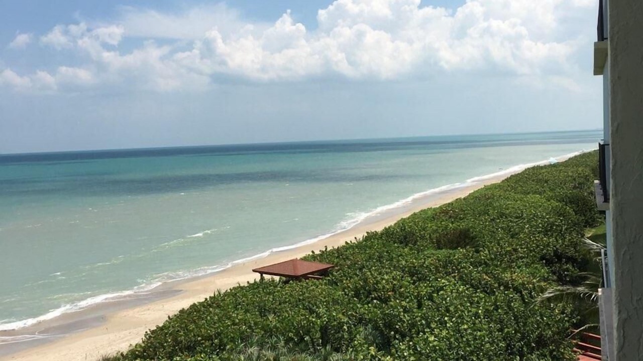 Photo of Others in Hutchinson Island South