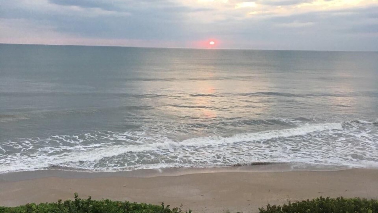 Photo of Others in Hutchinson Island South