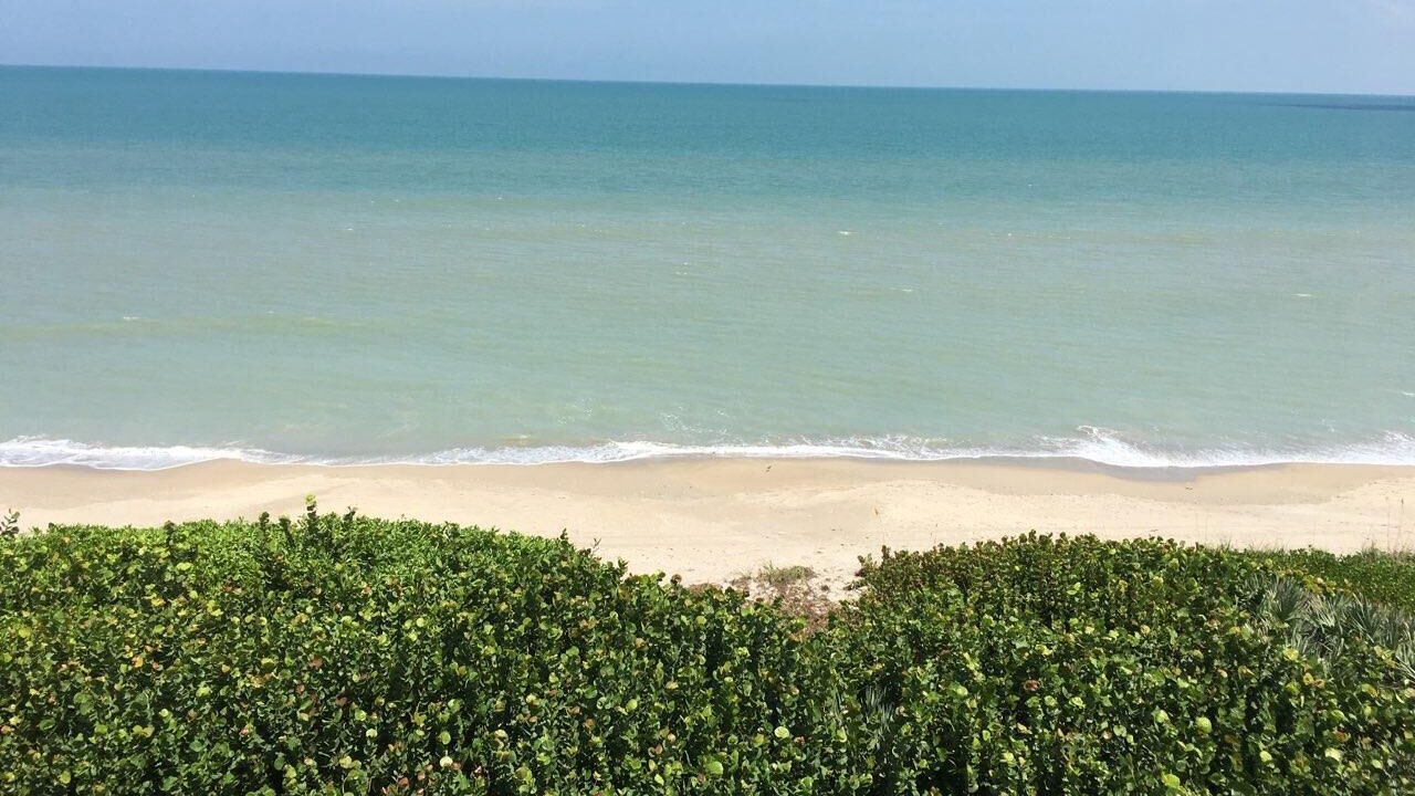 Photo of Others in Hutchinson Island South
