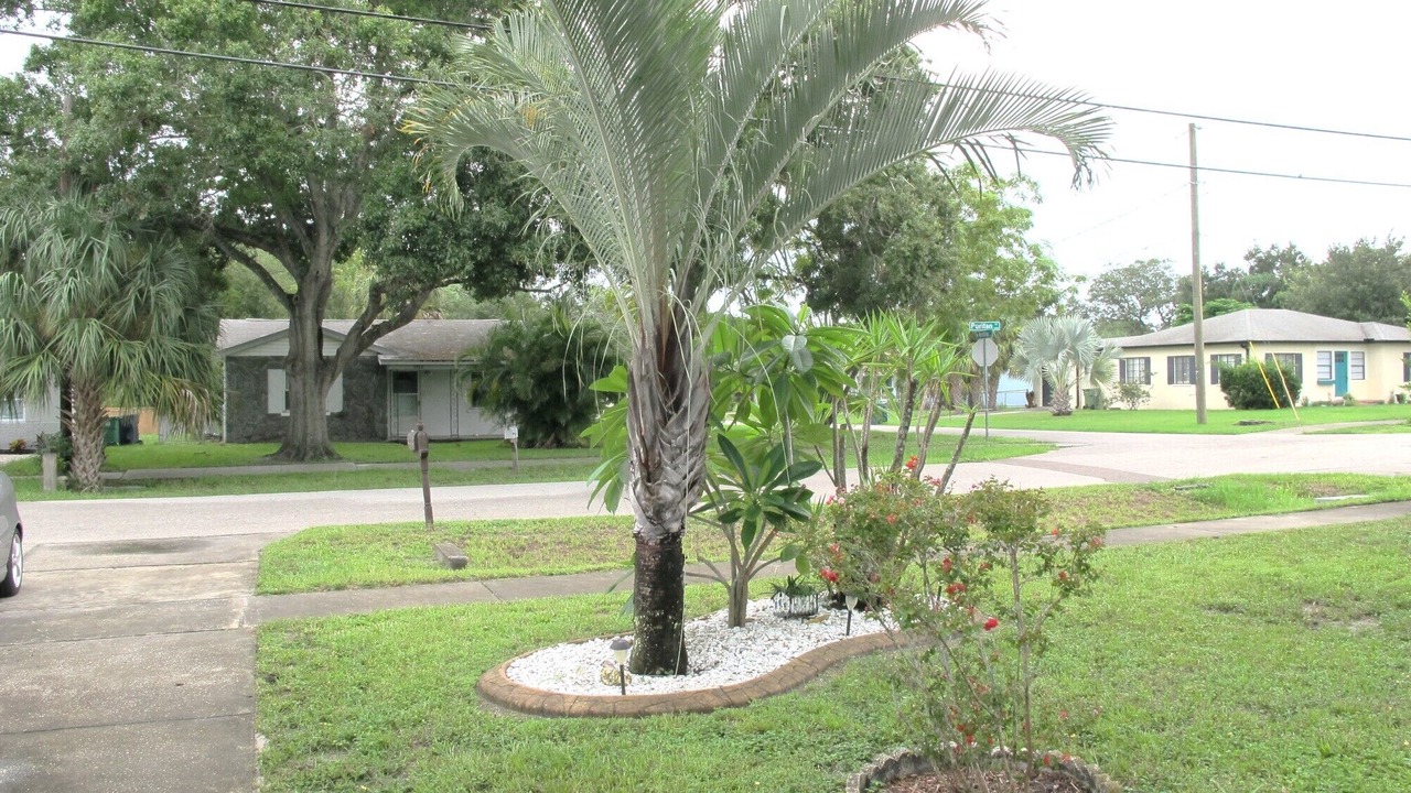 Photo of Outdoor in Ballast Point