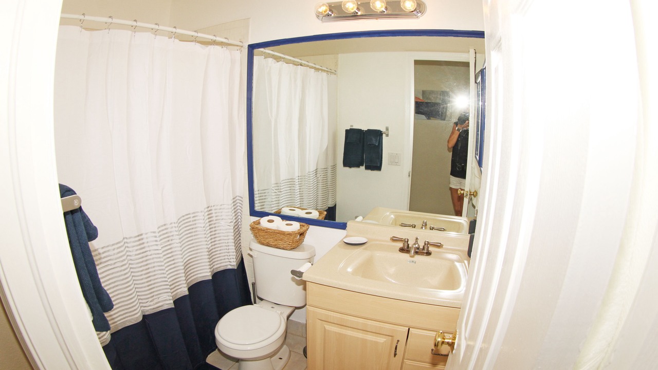 Photo of Bathroom in Wellington