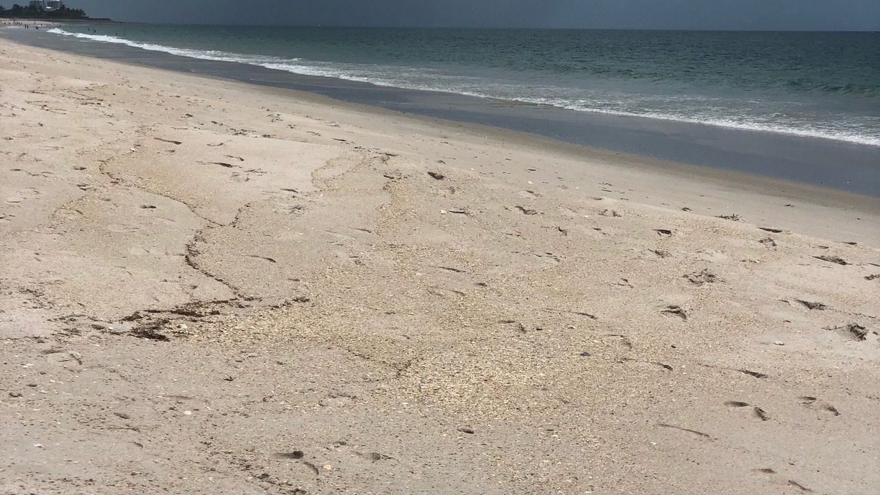Photo of Others in Vero Beach