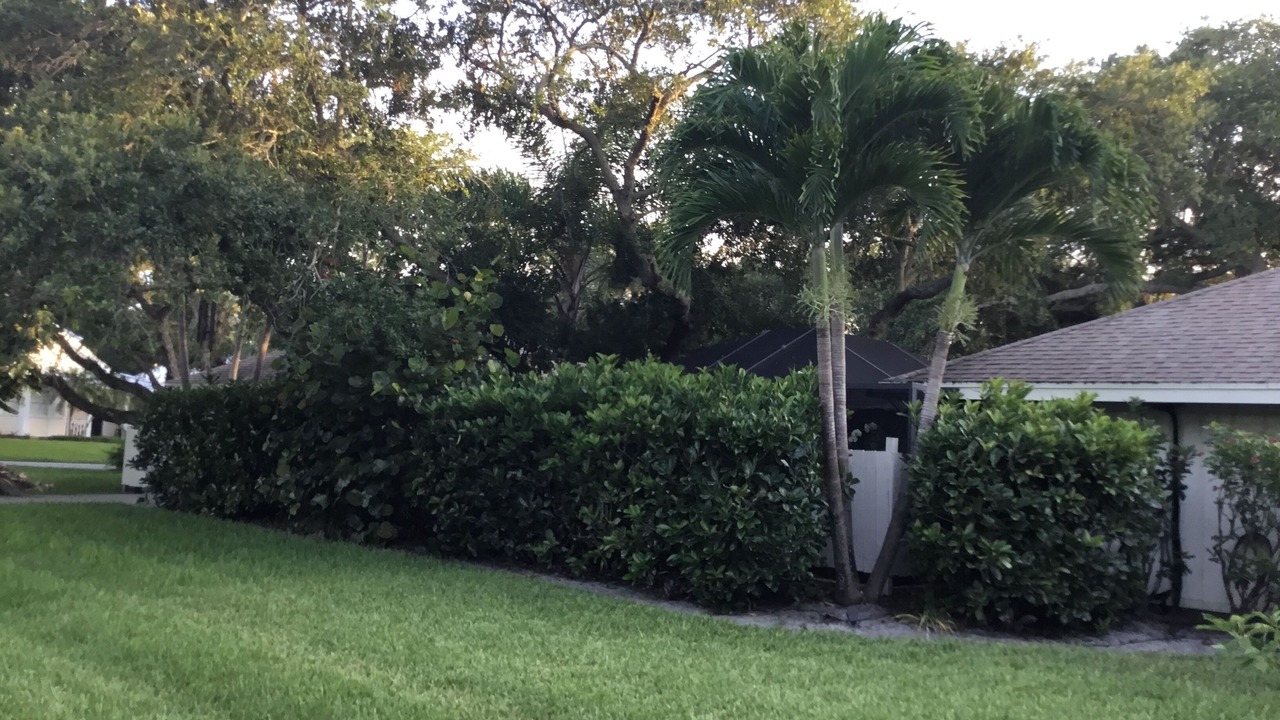 Photo of Outdoor in Vero Beach