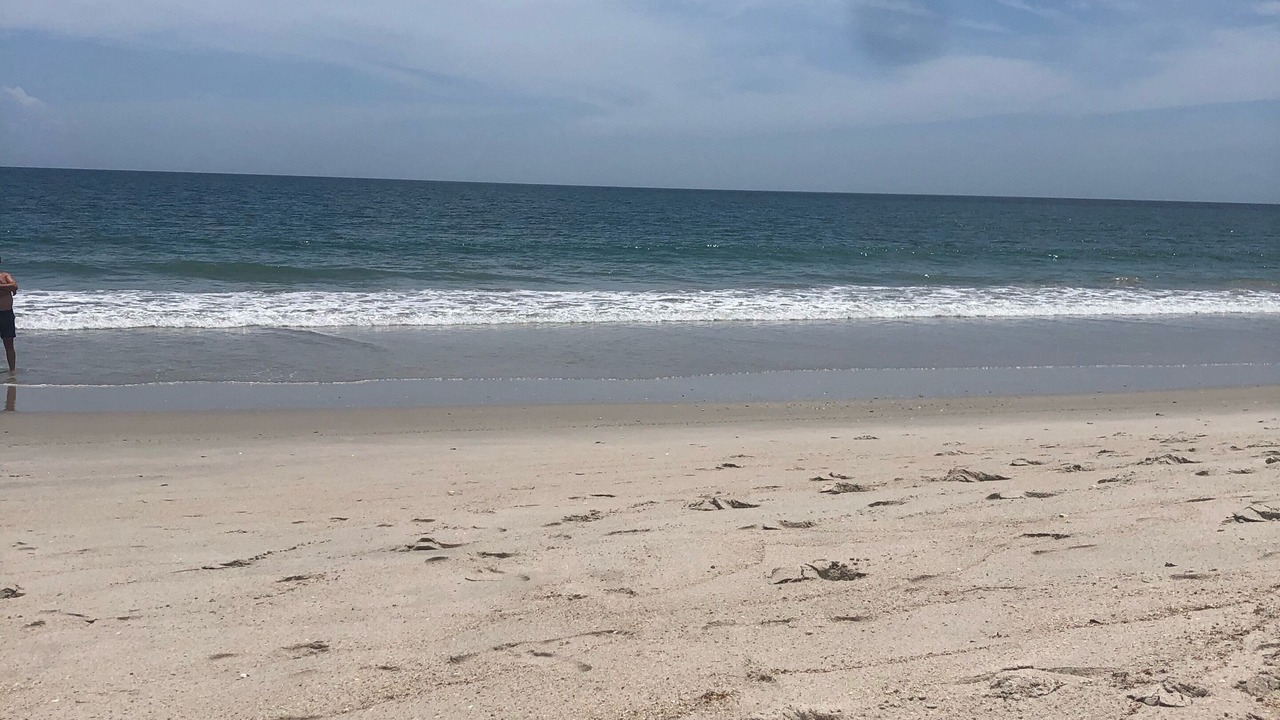 Photo of Others in Vero Beach