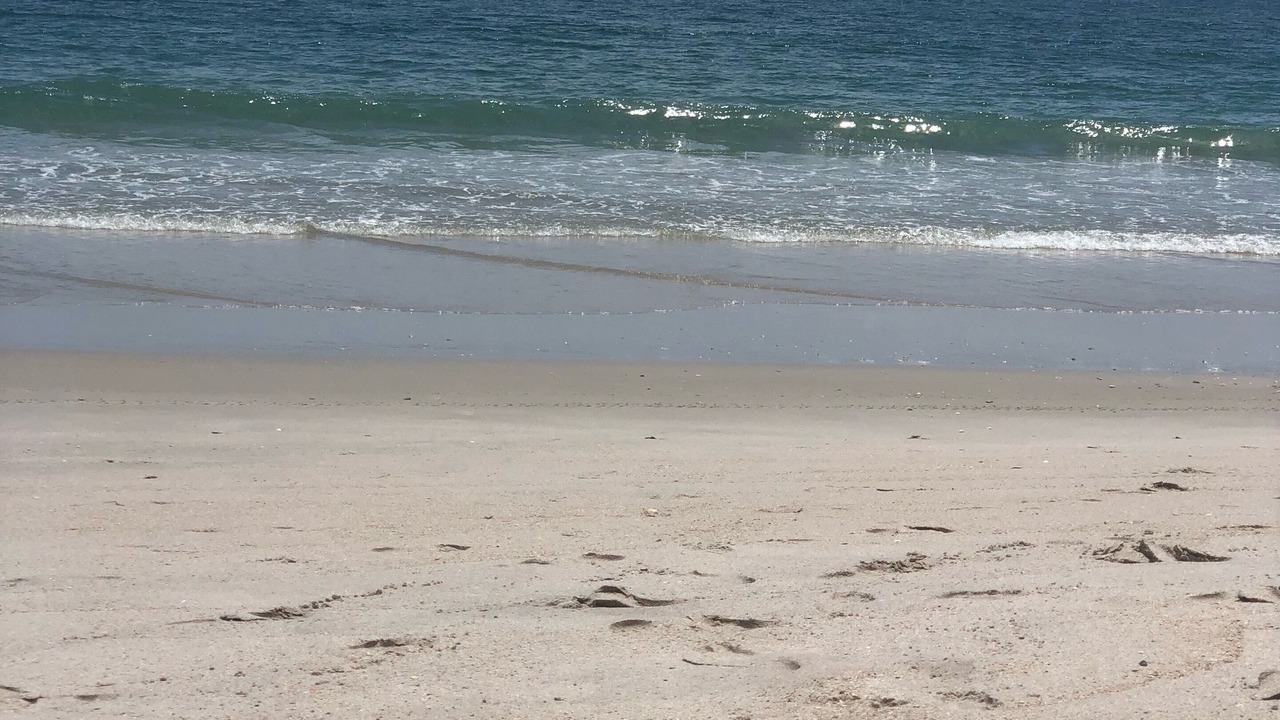 Photo of Others in Vero Beach