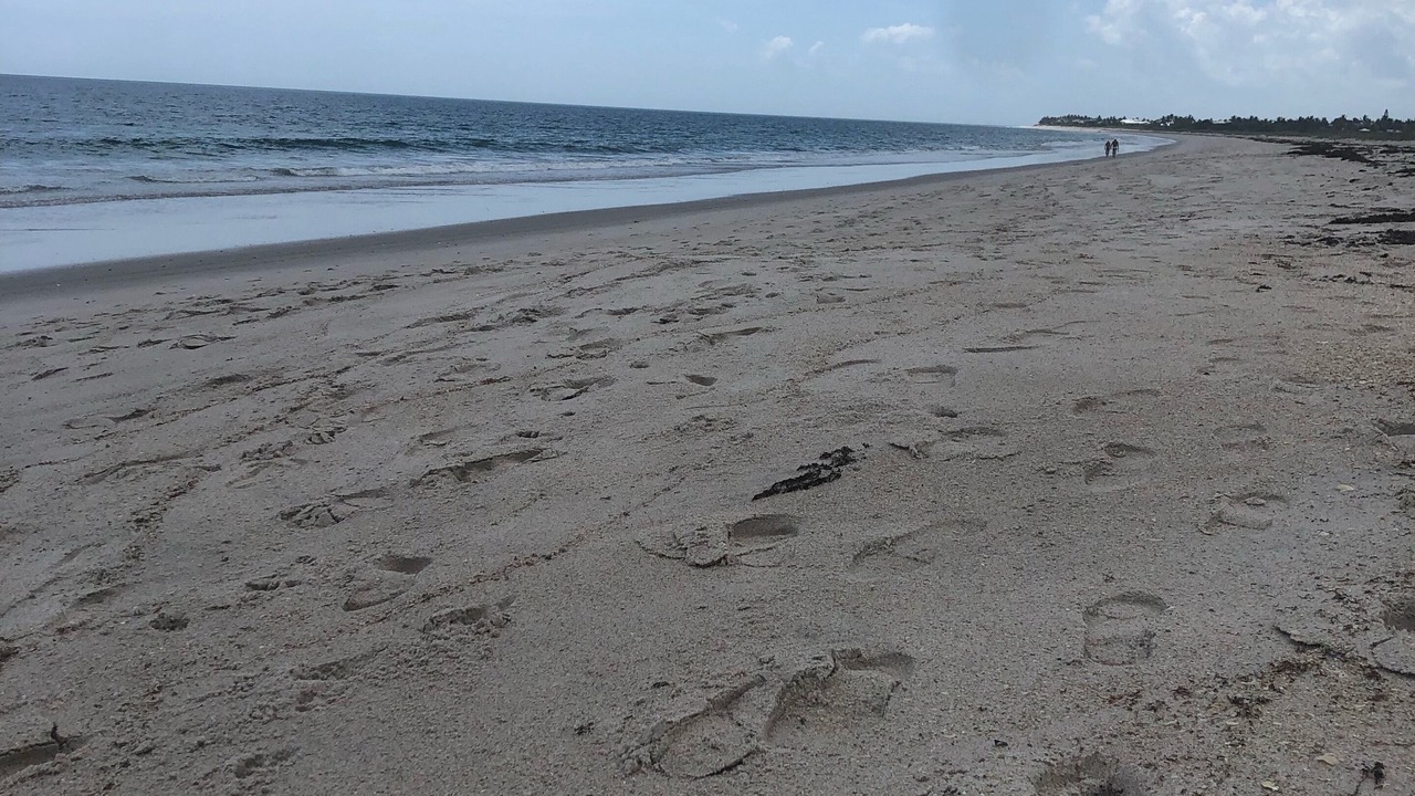 Photo of Others in Vero Beach