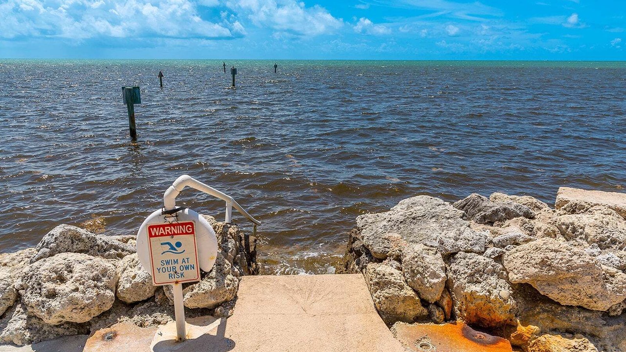Photo of Others in Islamorada