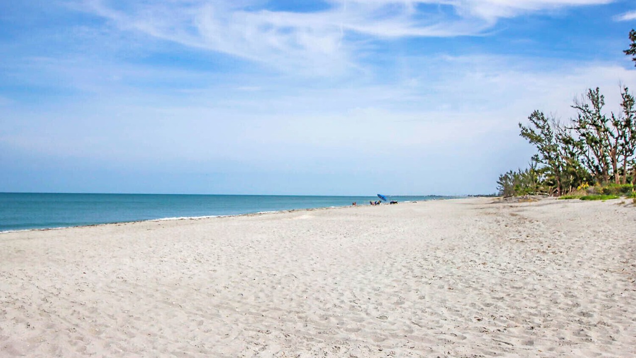 Photo of Others in Captiva