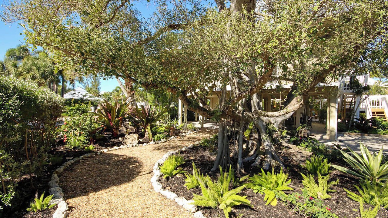 Photo of Outdoor in Captiva
