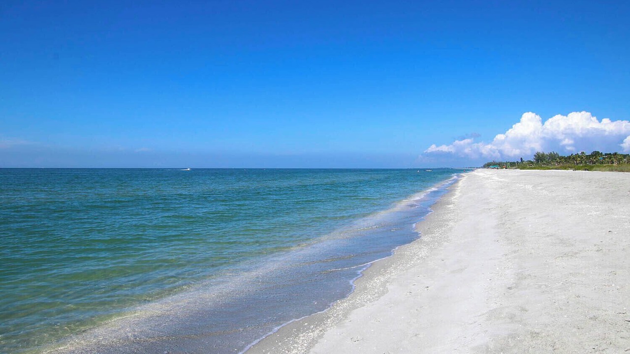 Photo of Others in Captiva