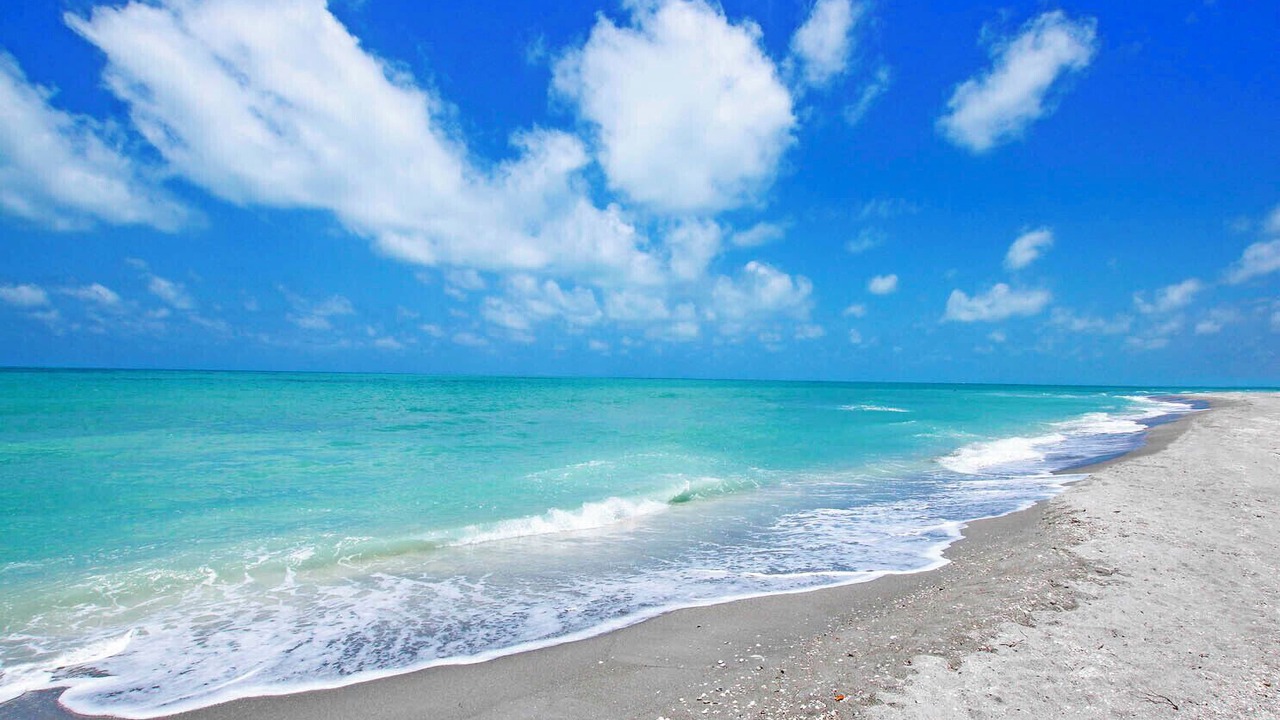 Photo of Others in Captiva