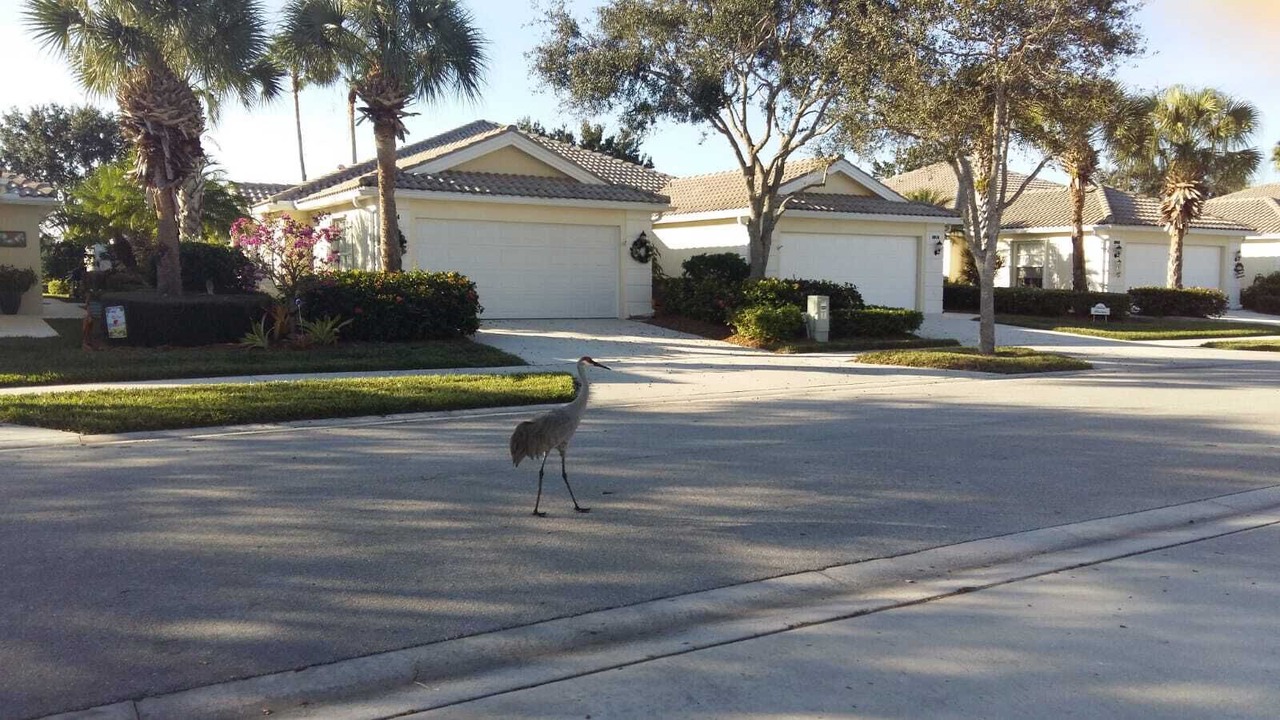 Photo of Outdoor in Hobe Sound