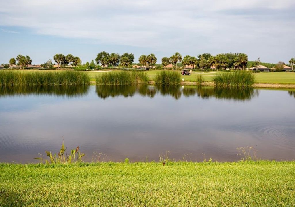 Photo of Others in Immokalee