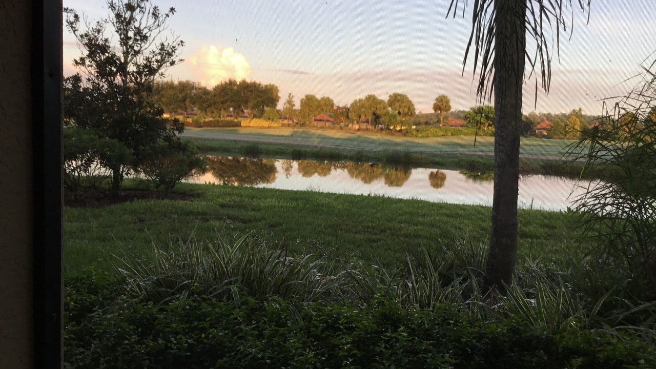 Photo of Others in Immokalee