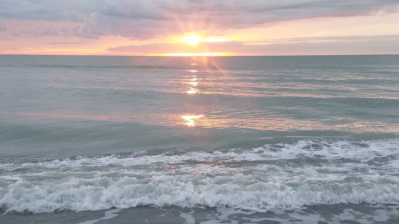Photo of Others in Siesta Key