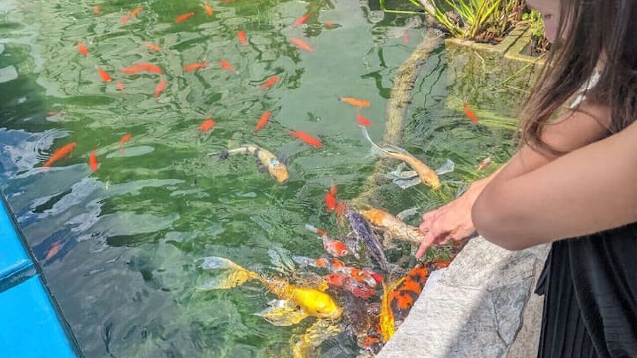 Photo of Others in Orlando