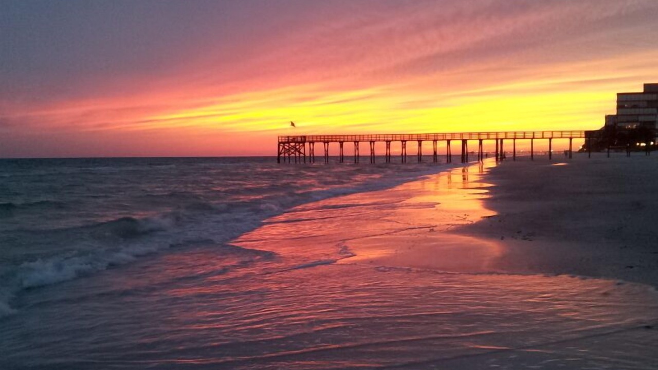 Photo of Others in Redington Beach