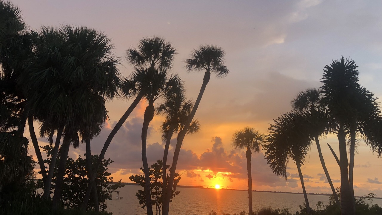 Photo of Outdoor in Fort Pierce