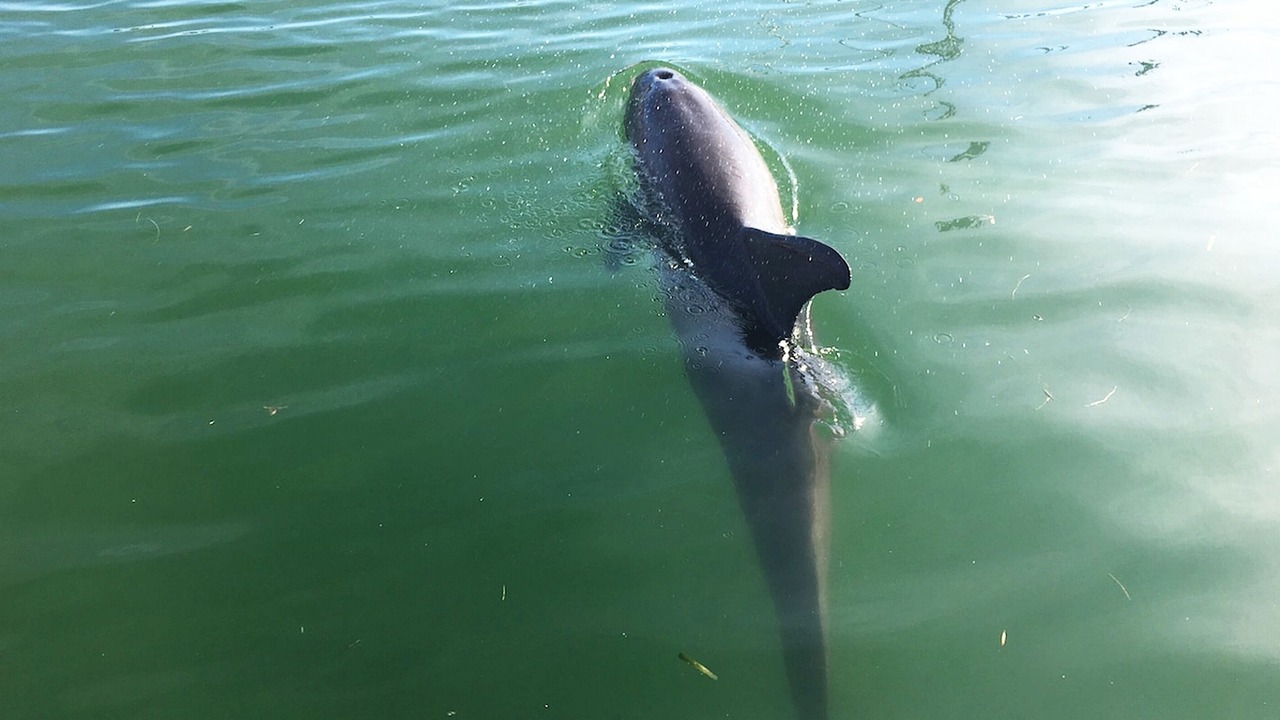 Photo of Others in Crescent Lake