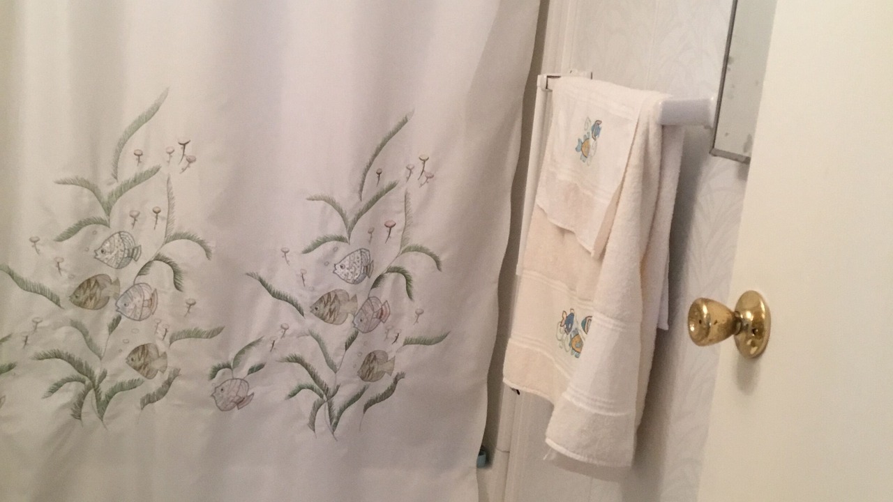 Photo of Bathroom in Hutchinson Island South