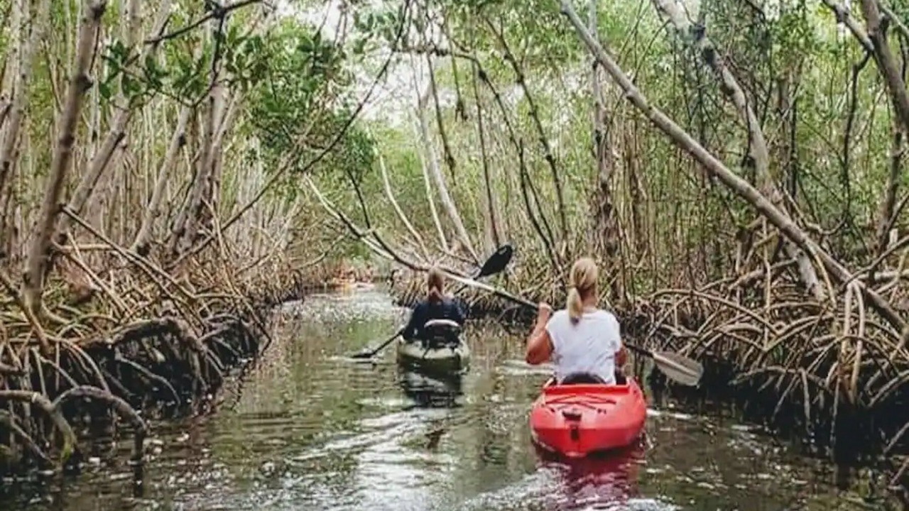 Photo of Others in Sarasota