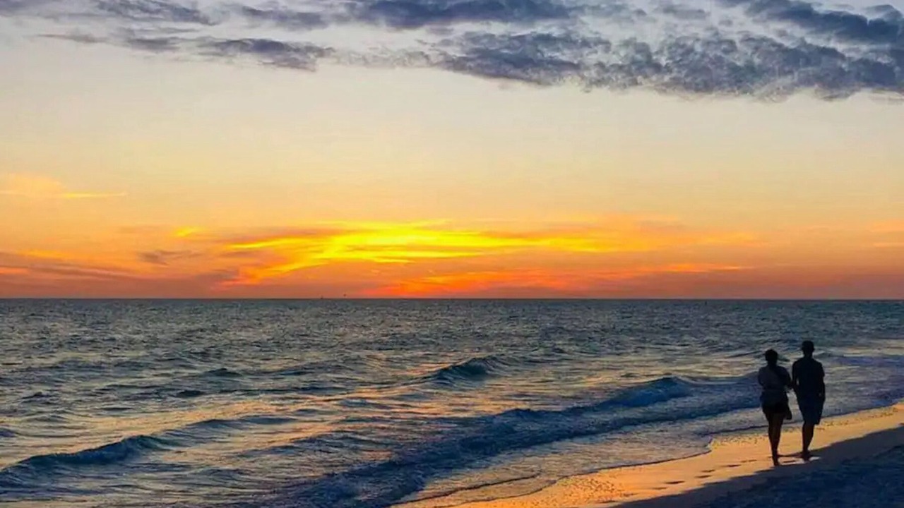 Photo of Others in Sarasota