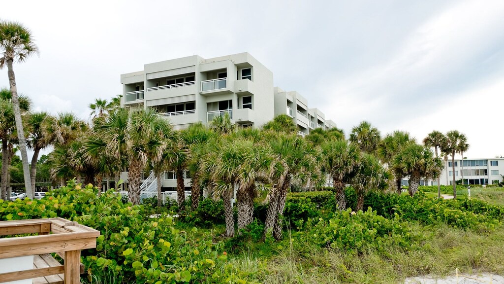 Photo of Buildings in Sarasota
