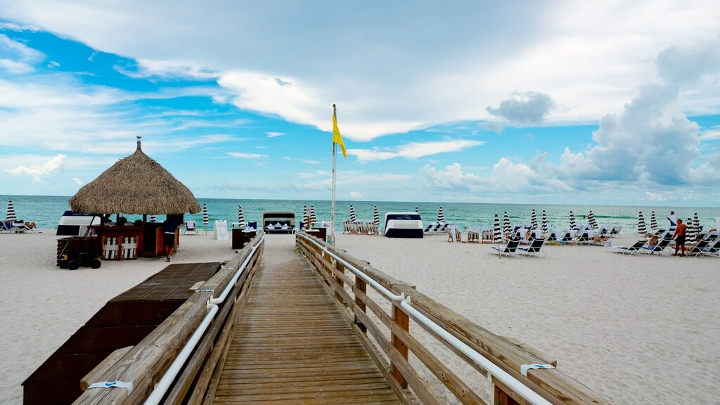 Photo of Others in Sarasota