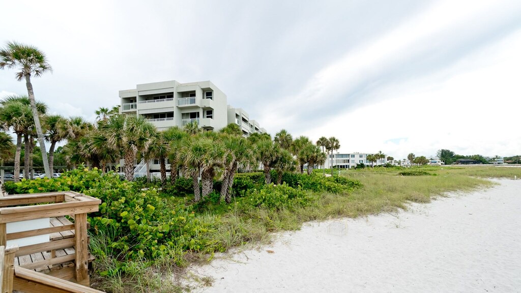 Photo of Others in Sarasota