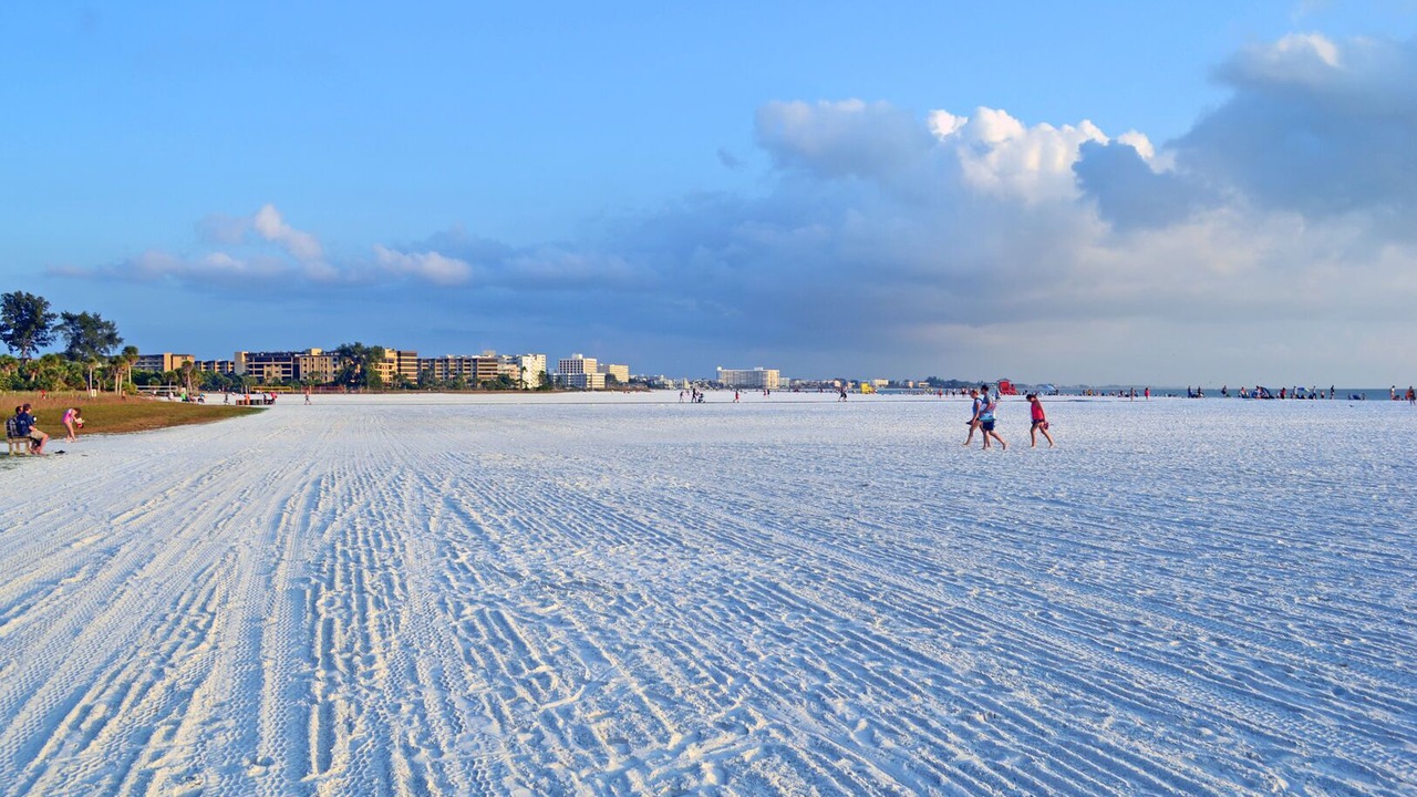 Photo of Others in Sarasota