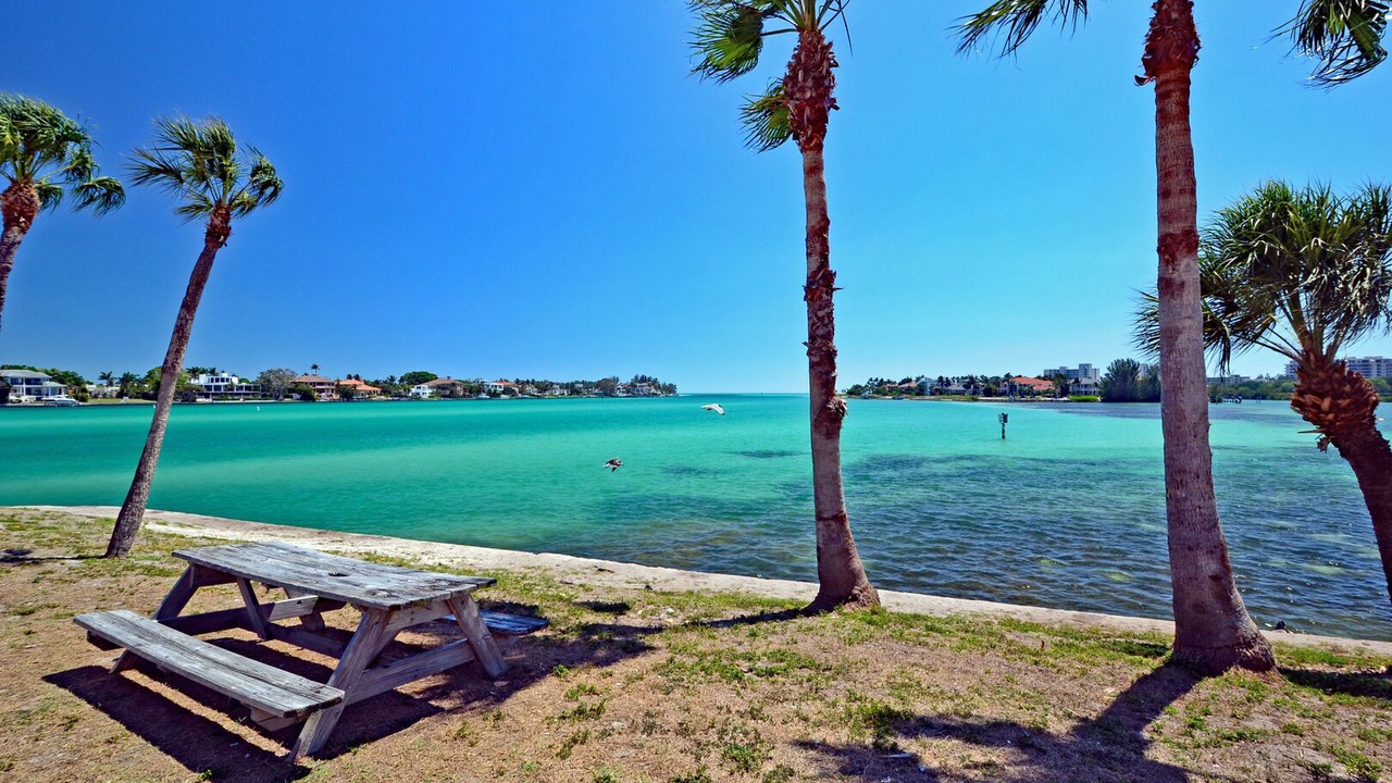 Photo of Others in Sarasota