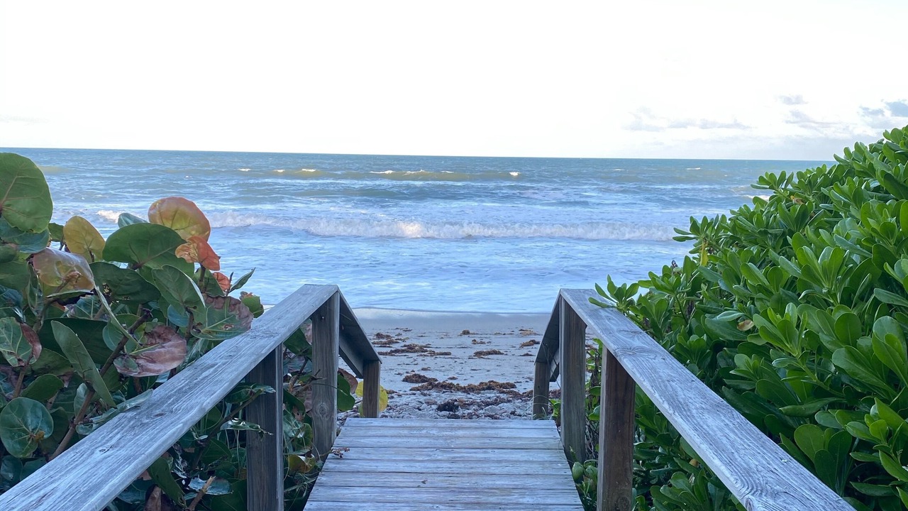 Photo of Others in South Patrick Shores