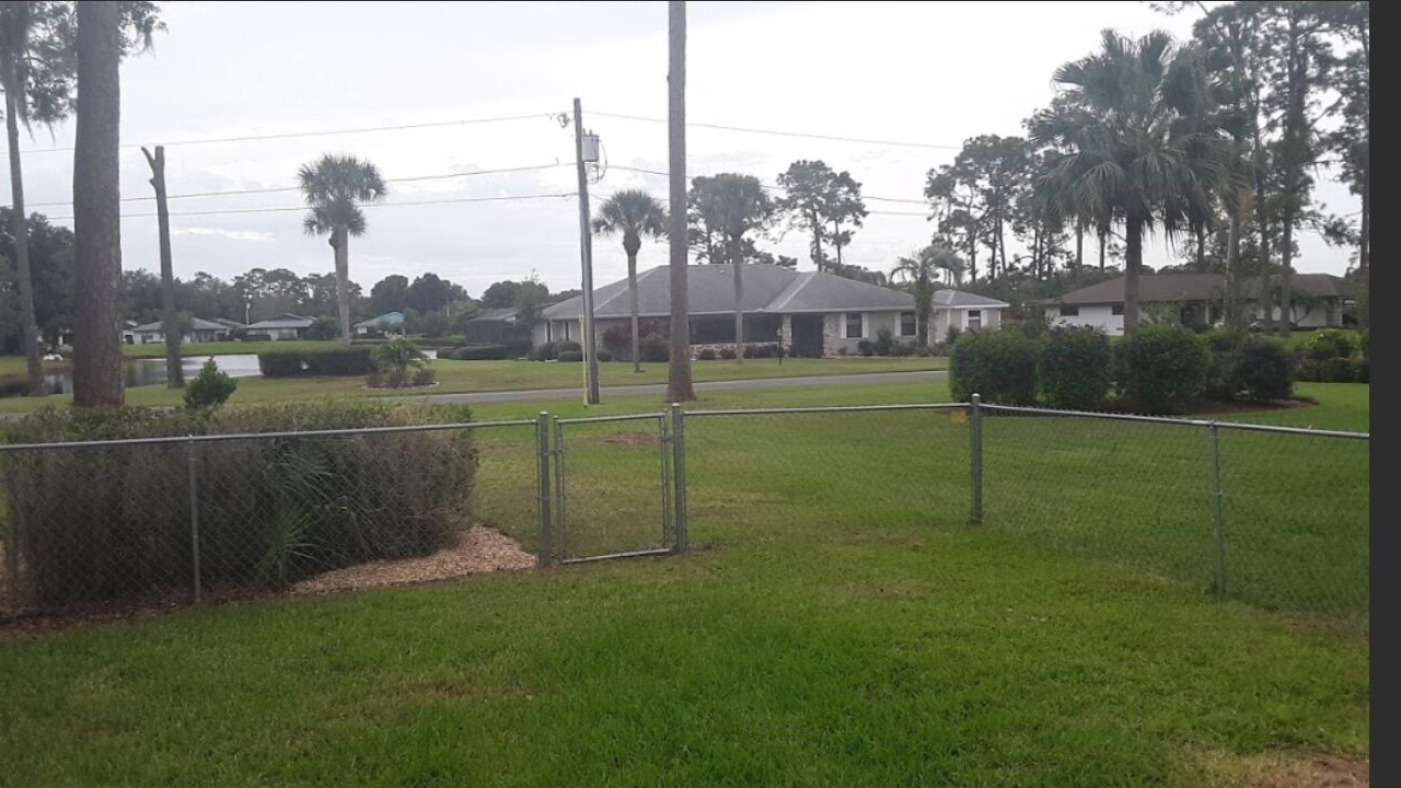 Photo of Outdoor in Golf Hammock