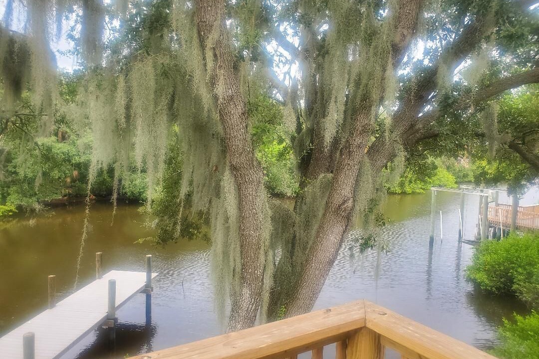 Photo of Outdoor in Riverview