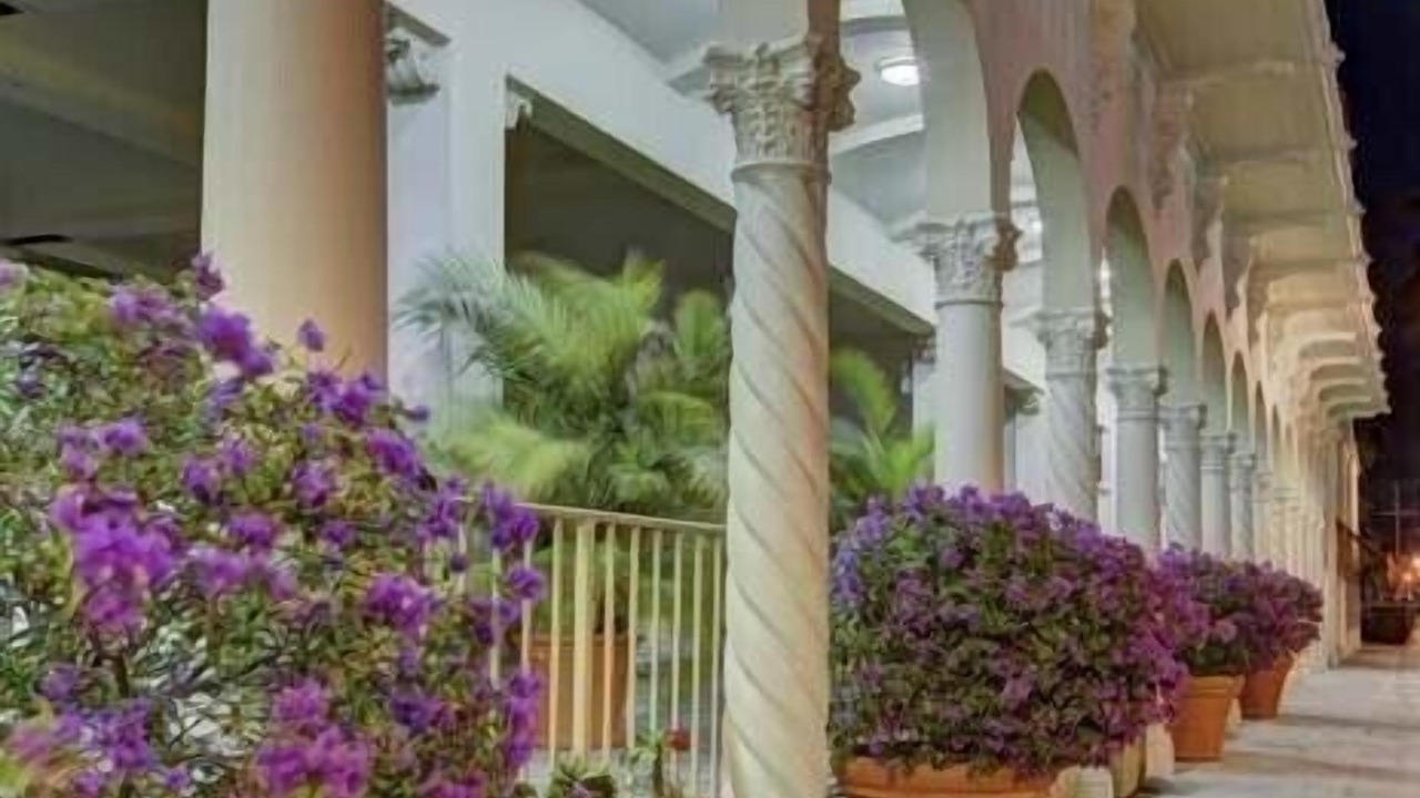 Photo of Outdoor in Palm Beach