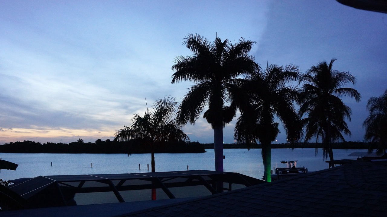 Photo of Others in Fort Myers