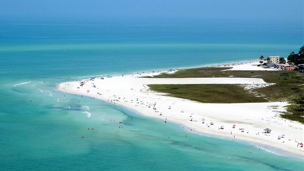 Photo of Others in Siesta Key
