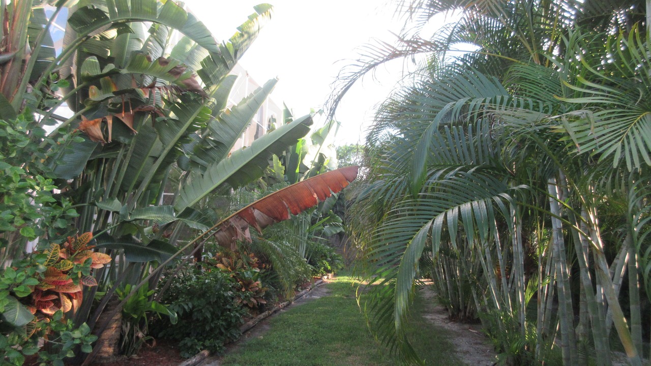 Photo of Outdoor in Bonita Springs