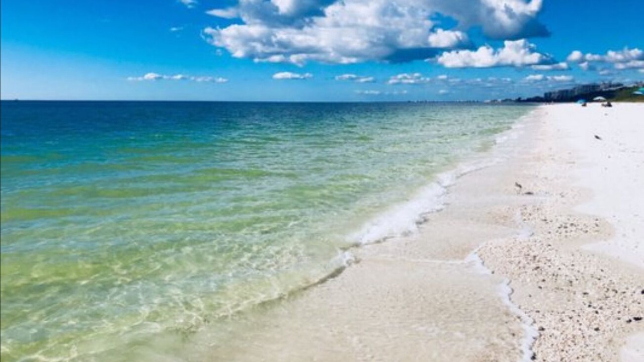 Photo of Others in Bonita Springs