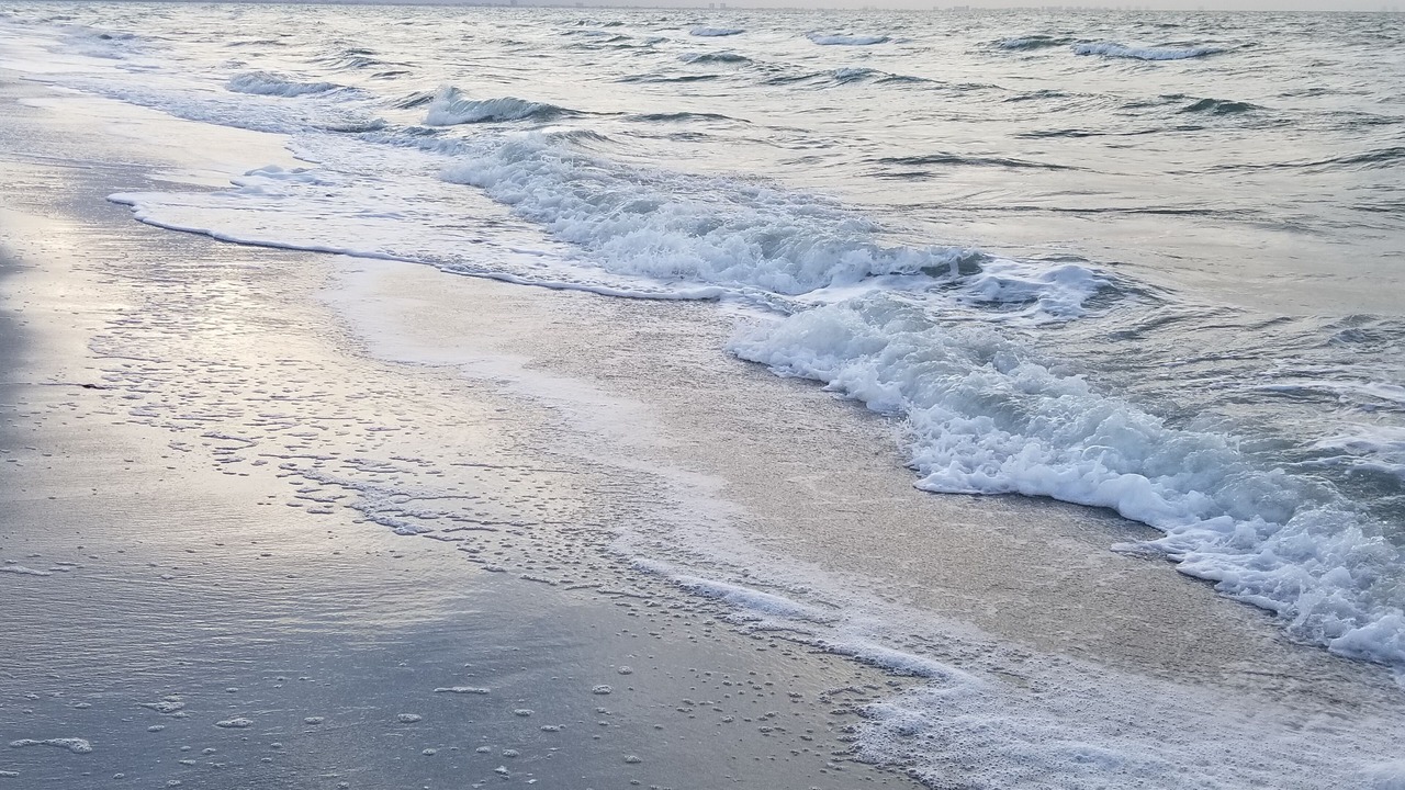Photo of Others in Sanibel