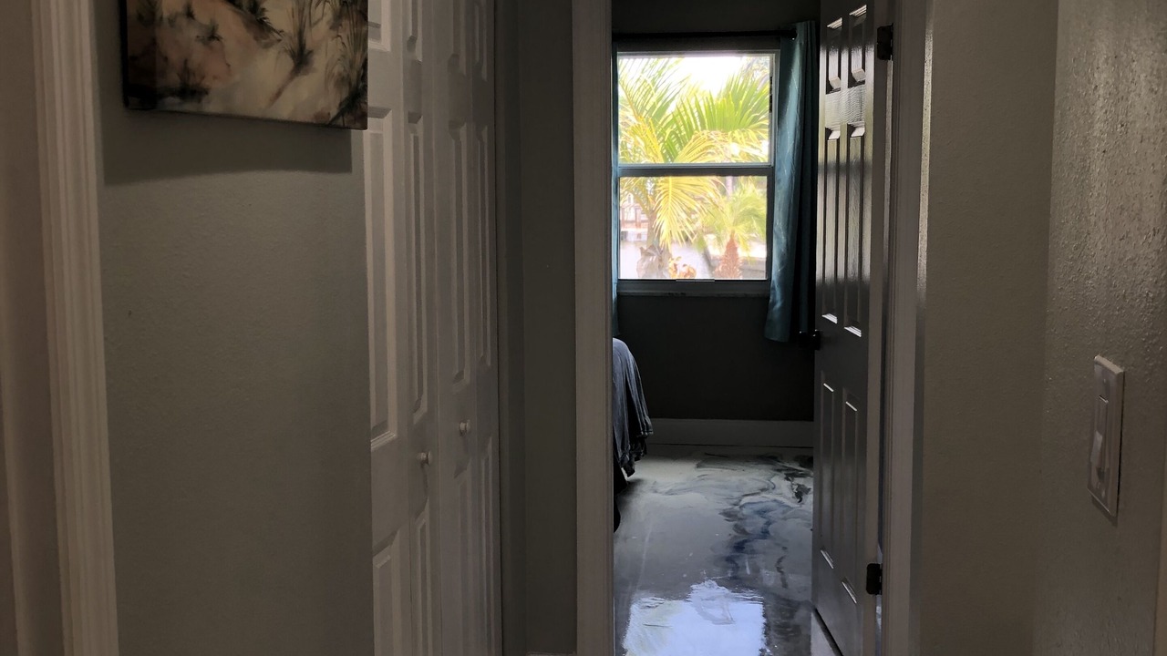 Photo of Others in Tampa Shores