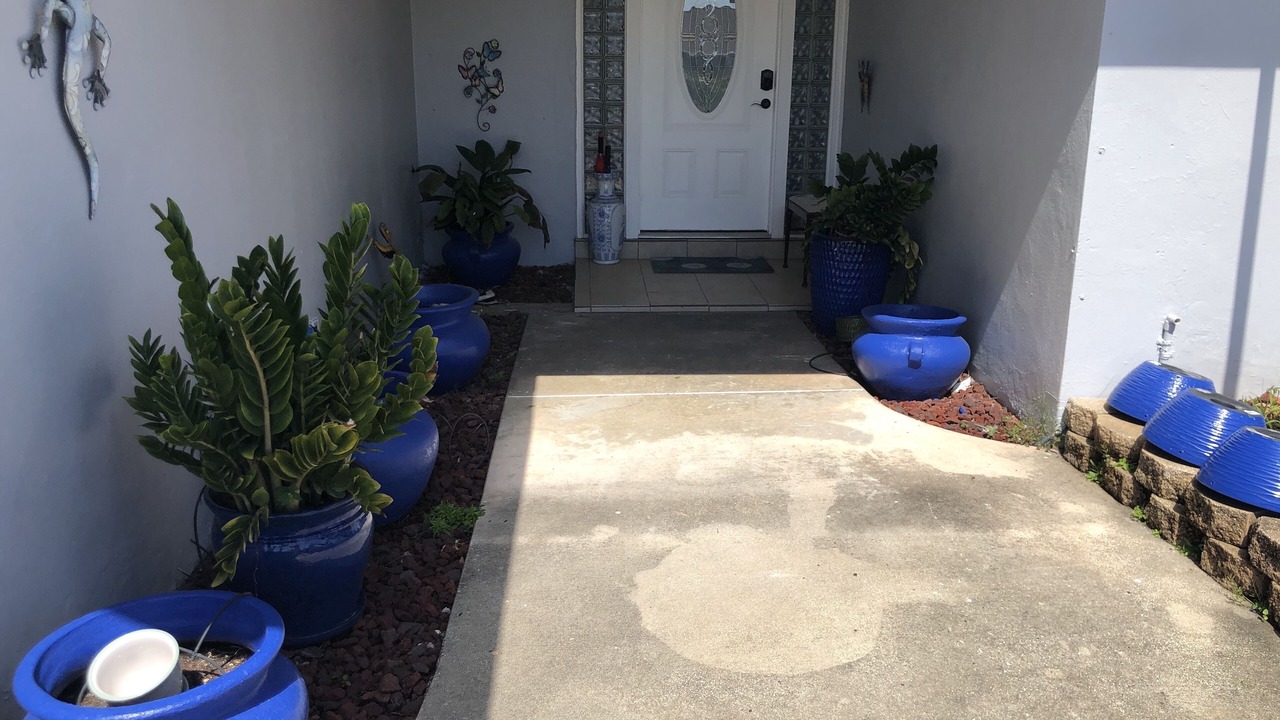Photo of Outdoor in Tampa Shores