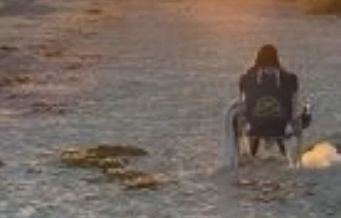 Photo of Others in Sanibel